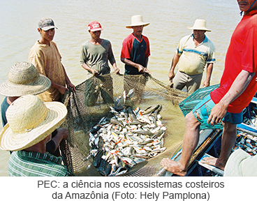 Produção-pesqueira-estudos-costeiros_MuseuGoeldi