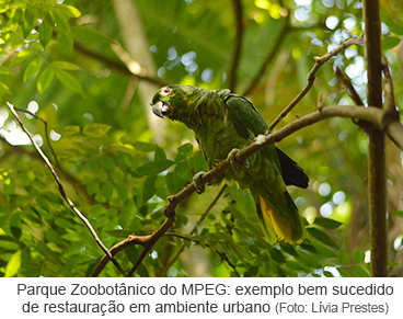 Parque Zoobotânico do MPEG: exemplo bem sucedido de restauração em ambiente urbano