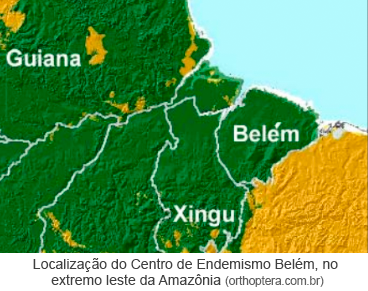 Localização do Centro de Endemismo Belém, no extremo leste da Amazônia