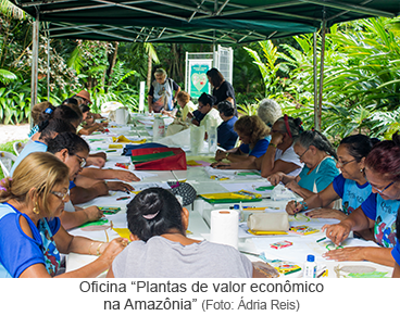 Oficina Plantas de valor econômico na Amazônia