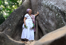Na foto, a mãe de santo Mametu Nangetu nos preparativos da trilha