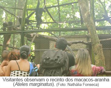Visitantes observam o recinto dos macacos-aranha