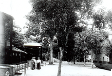 Imagem do Parque Zoobotânico do Museu Goeldi no ano de 1900