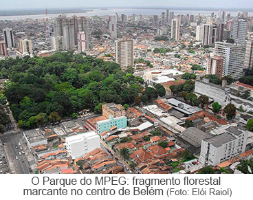 O Parque do MPEG: fragmento florestal marcante no centro de Belém