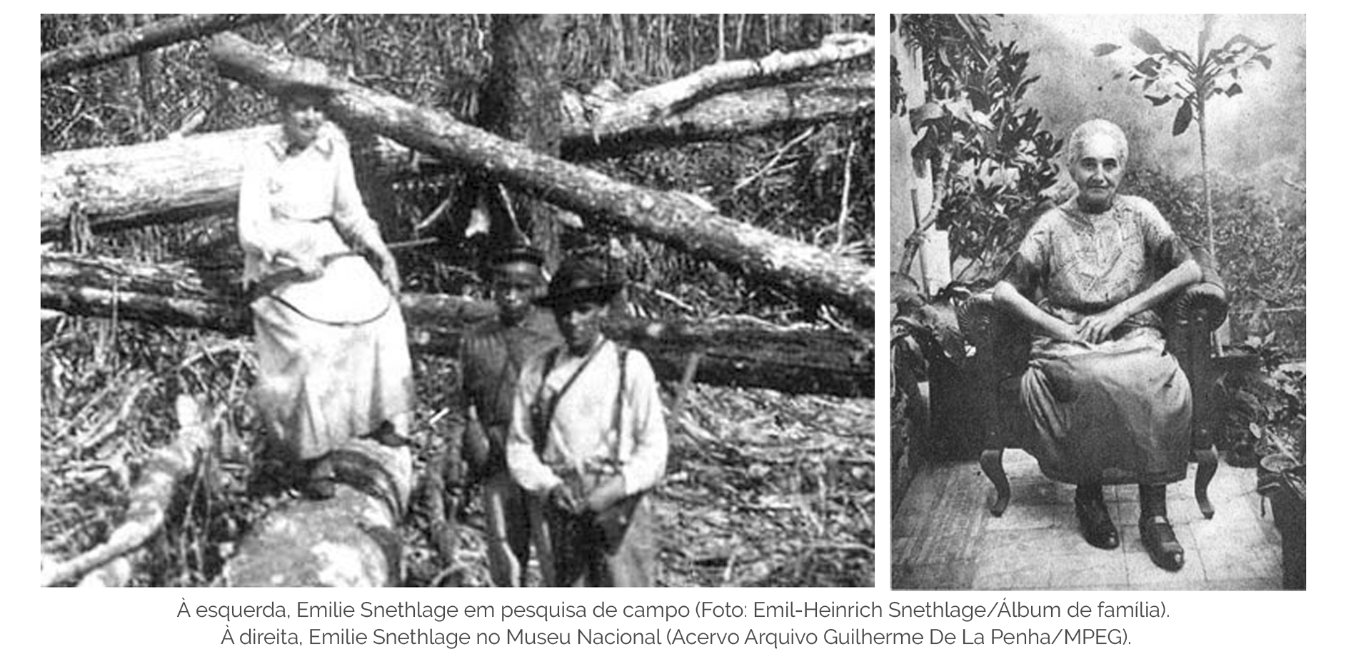 À esquerda, Emilie Snethlage em pesquisa de campo (Foto: Emil-Heinrich Snethlage/Álbum de família). À direita, Emilie Snethlage no Museu Nacional (Acervo Arquivo Guilherme De La Penha/MPEG).
