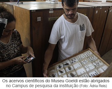 Os acervos científicos do Museu Goeldi estão abrigados  no Campus de pesquisa da instituição
