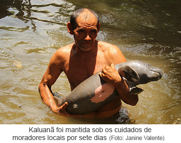 Kaluanã foi mantida sob os cuidados de moradores locais por sete dias.png