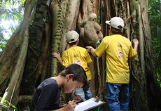 Grupo do Clube do Pesquisador Mirim em atividade no Parque Zoobotânico
