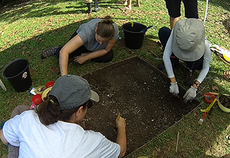 Projeto internacional estuda sítios arqueológicos no Marajó