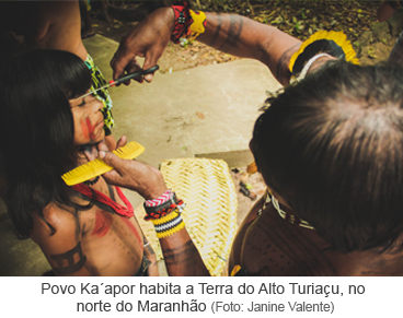 Povo Ka'apor habita a Terra do Alto Turiaçu, no norte do Maranhão.png