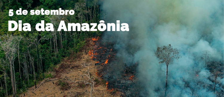Dia da Amazônia.png