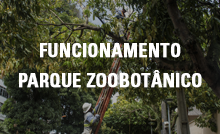 Funcionamento do Parque Zoobotânico - poda de árvores